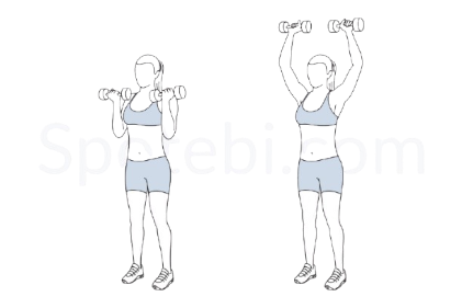 Arnold Shoulder Press